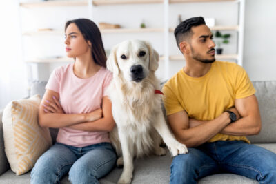 Claves para negociar la custodia de mascotas tras una ruptura